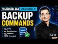 PostgreSQL Backup Commands Before Disaster (DBA Cheat Sheet #1)