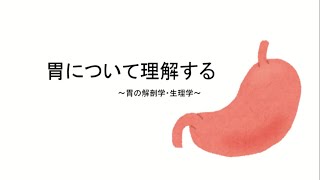 第4回　これで国家試験が解ける～胃の解剖学・生理学～