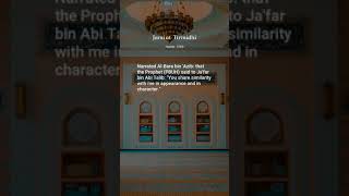 Jami at-Tirmidhi, Hadith: 3765, Chapters on Supplication