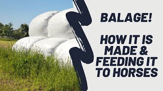 Balage how it is made and feeding it to horses