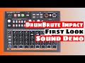 DRUMBRUTE IMPACT Analog Drum Machine - First Look & Sound Demo | SYNTH ANATOMY