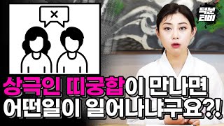 상극인 띠궁합이 있다던데요? 이런 사람들이 만나면 바로 이혼하나요?!😲