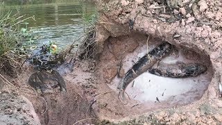 Unbelievable Deep Hole Fishing - Fishing With Deep Hole - Cambodia Traditional Fishing
