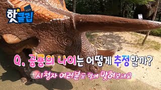 공룡의 나이는 어떻게 추정할까? [핫클립] / YTN 사이언스