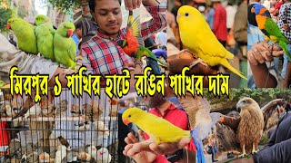 মিরপুর ১ পাখির হাটে কমে গেছে ক্রেতা বিক্রেতা | mirpur 1 pakhir hat