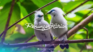 ANAK-ANAK GAMPANG | Renungan Harian® (Audio)