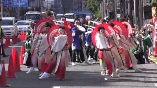 2015 09 20 深川よさこい 永代通り 3回目