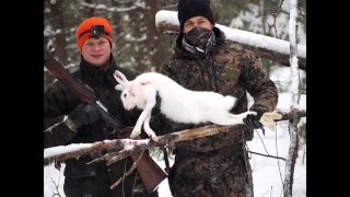 Short film Hare hunting  | Jäniksen metsästystä