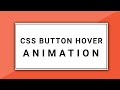 CSS Button Hover Effects | Pure CSS Animation
