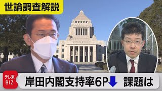 世論調査解説　“物価上昇感じる”77％　どうする！？岸田内閣【官邸サブキャップ坂井田淳の世論調査解説】（2022年1月31日）