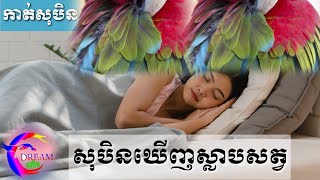 សុបិនឃើញស្លាបសត្វ-Dreaming of animal wings