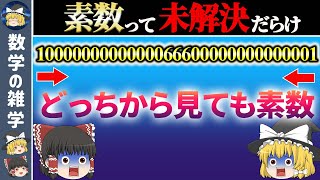 1089桁のヤバすぎる素数【ゆっくり解説】