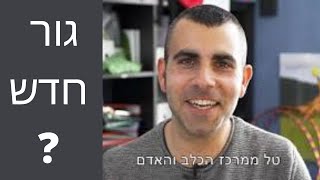 אימוץ גור מה קונים? | מדריך לאימוץ כלב  | איך לאלף גור  | טל שלוש מאלף כלבים בכיר -מרכז הכלב והאדם