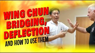 WING CHUN | BRIDGING \u0026 DEFLECTION | HOW TO USE THEM