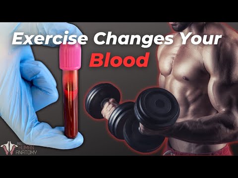 Does exercise affect red blood cell count?