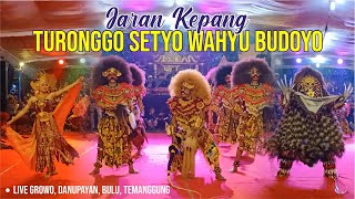 TURONGGO SETYO WAHYU BUDOYO | JARAN KEPANG TSWB | LIVE GROWO, DANUPAYAN, BULU, TEMANGGUNG