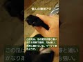 甲斐犬 ぎん 分厚く柔軟な足