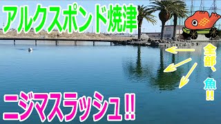 【釣り】アルクスポンド焼津さんにて管釣り！辺り一面の魚たちが入れ食い！ニジマスラッシュ‼【管釣り】