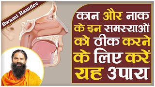 कान और नाक के इन समस्याओं को ठीक करने के लिए करें यह उपाय || Swami Ramdev