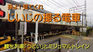 【孫よ！見てくれ】じいじの撮る電車～観光列車「つどい」とミジュマルトレイン