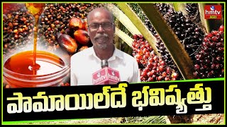 పామాయిల్‌దే  భవిష్యత్తు | Oil Palm Cultivation (Palm Oil) | hmtv Agri