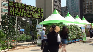 [단비리포트] 도시에서 내 텃밭을 가꾼다