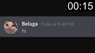 Discord Mod Speedrun 9 17 seconds part 1