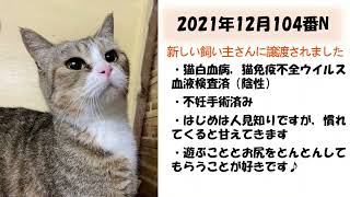 動物愛護センターの取り組み⑧