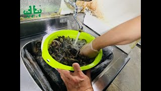 泥鰍從製作到餵養魟魚全過程