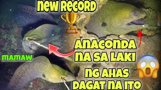 eps.141 NEW RECORD🏆ANACONDA NA SA LAKI NG AHAS DAGAT NA ITO😱 #fishing #gopro #fish #highlights