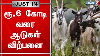 செஞ்சியில் நடைபெற்ற வார சந்தையில் ரூ.6 கோடிக்கு ஆடுகள் விற்பனை