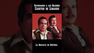 Recordando a Los Grandes Cadetes de Linares