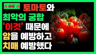 토마토와 최악의 궁합 이것때문에 암을 예방하고 치매 예방!토마토로 먹으면 안 되는 음식, 그리고 함께 먹으면 더 좋은 음식들에 대해 이야기해볼게요.