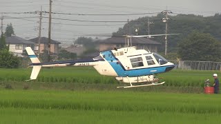 【2024ヘリコプター航空防除作業】ヘリサービス Bell 206B-3 JA9470 散布朝～農薬補給/Helicopter Crop Dusting in Japan.