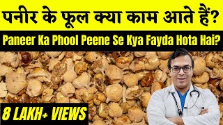 Paneer Ke Phool Kya Kaam Aate Hain? | Paneer Ka Phool Peene Se Kya Fayda Hota Hai? | DIAAFIT