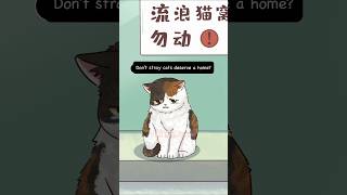 Have Compassion for Stray Cats #cat #animation #short