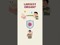 the truth about the largest human organ