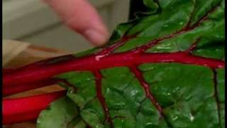 Cooking Tips : How to Select Red Swiss Chard