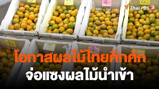 ตลาดค้าส่งผลไม้คึกคักรับปีใหม่ โอกาสผลไม้ไทยเติบโต | กินอยู่รู้รอบ | วันใหม่ไทยพีบีเอส | 28 พ.ย. 65