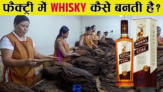 फैक्ट्री में Whisky ऐसे बनाई जाती है | How Is Whiskey Made in Indian Factories