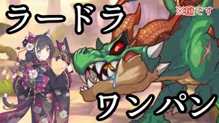 【プリコネR】ラースドラゴンワンパン攻略！(大嘘)【無計画に番外編】