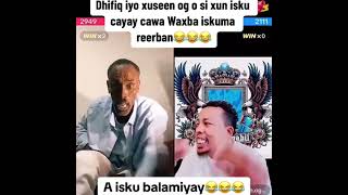 Dhifiq iyo Xuseen OG oo diinta isku caayay layaabkii aduunka🫢