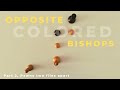 Opposite Colored Bishops Endgames, Part 2