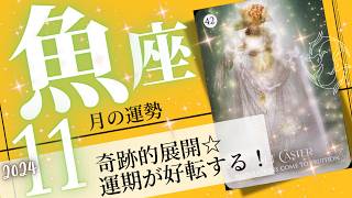 魚座♓️2024年11月の運勢🌈規格外の開運❗️✨思ってもみなかった幸運を受け取る💖癒しと気付きのタロット占い