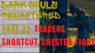 Dark Souls Remastered | Part 22 | DLC Oolacile Township shortcut Marvelous Chester FIGHT gold tracer