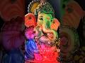 Ganesh nimajjanam #2024 #ganesh #ganesha #festival #visarjan #shorts