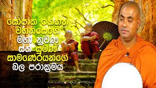 අවුරුදු 7 සෝපාක පොඩි හාමුදුරුවන් සහ අවුරුදු 7 සුමණ සාමණේරයන් වහන්සේ| Koralayagama Saranathissa Thero