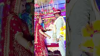 Sirwa ke bhar ho #shorts #viralvideo #short #trending #wedding #jpsagar