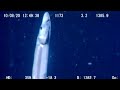 9 Strange Deep Ocean ROV Findings From Japan № 2🇯🇵
