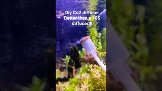 DIY Co2 diffuser